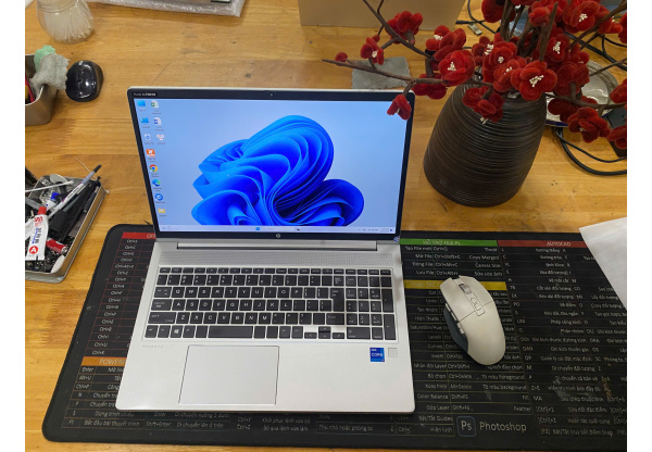 HP Probook 450 G8 i7 Th11