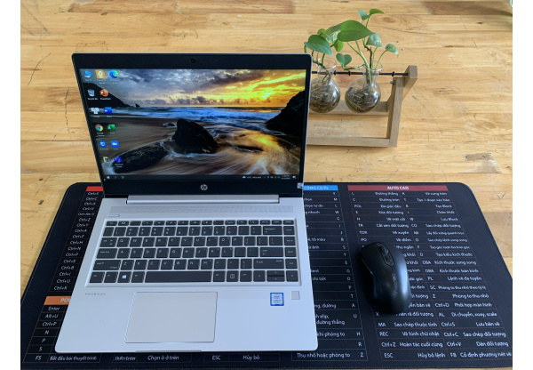HP ProBook 440 G6 i5 8265U