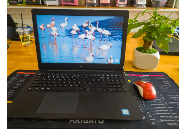 Dell Latitude 3590