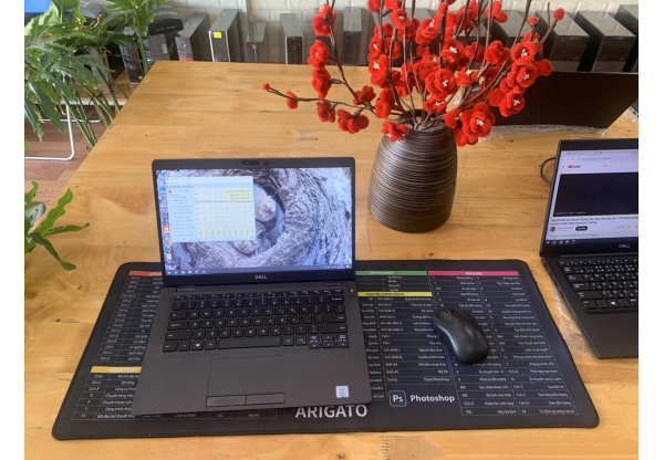 Dell Latitude 5300 I5 Th8 