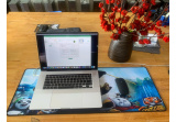 MacBook Pro 16inch 2019 | Core i9 Ram 32GB SSD 512GB