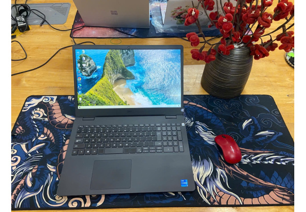 Dell Inspiron 3501 Core i5-1135G7