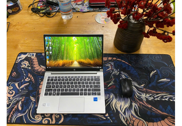 HP ProBook 430 G8 