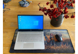 HP Pavilion 14 bf034TU 