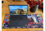 Dell Inspiron 3535 Ryzen 5 7530U 