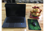 Hp ZBook 17 G2 -  K3100