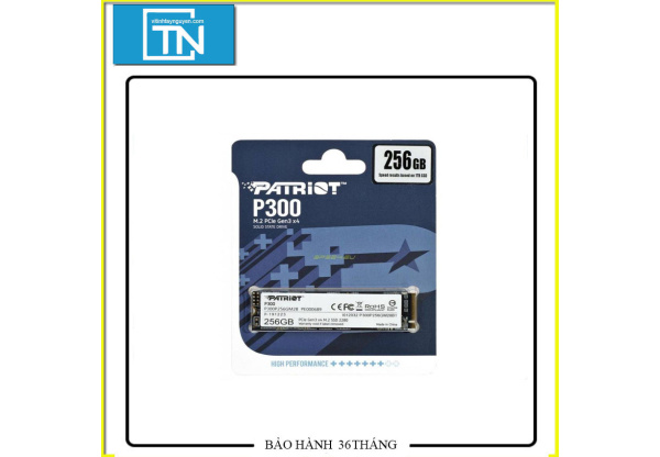Ô cứng PATRIOT 256G P300 M.2 2280 NVMe Gen 3x4