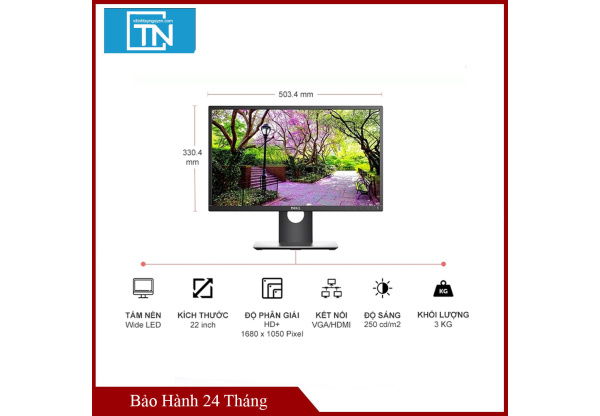 Màn hình máy tính Dell P2217 22 inch