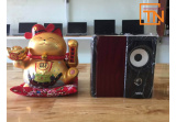 Loa vi tính 2.0 Ruizu RS-810